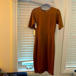 Babaton Kramer dress in Tamarind - Size 8 - Brand New with tags